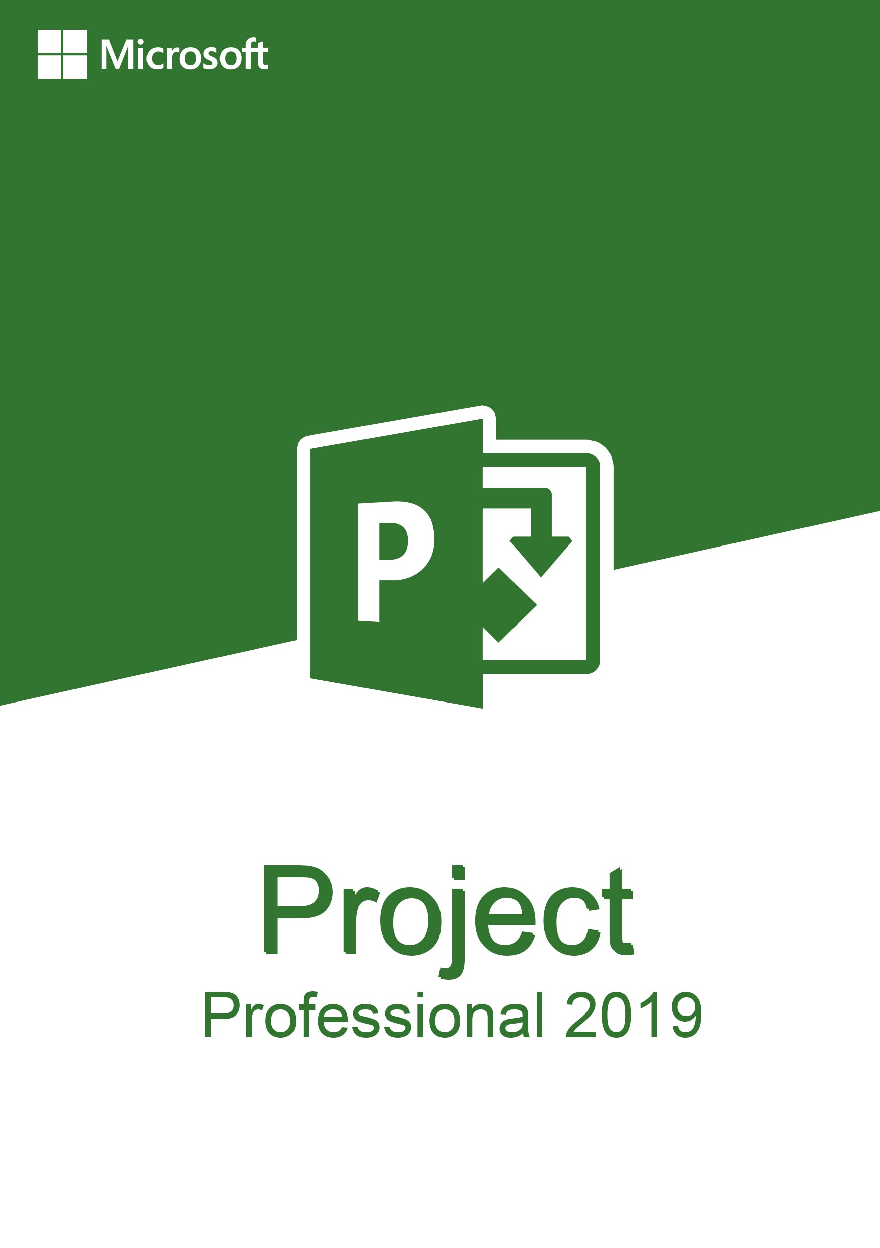 Project 2019 Professional