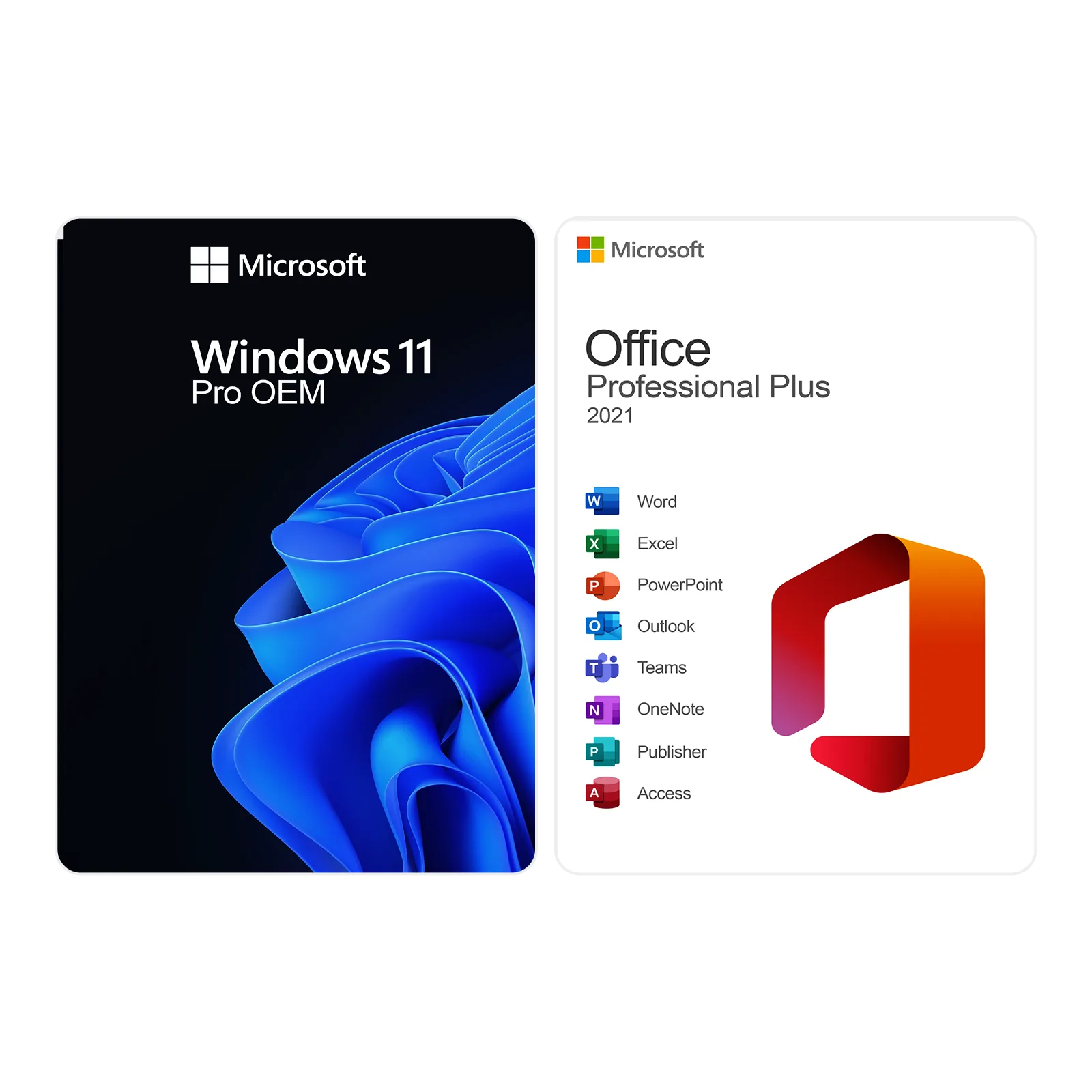 Pachet Windows 11 Pro OEM:DM + Office 2021 Pro Plus — KEYS OUTLET