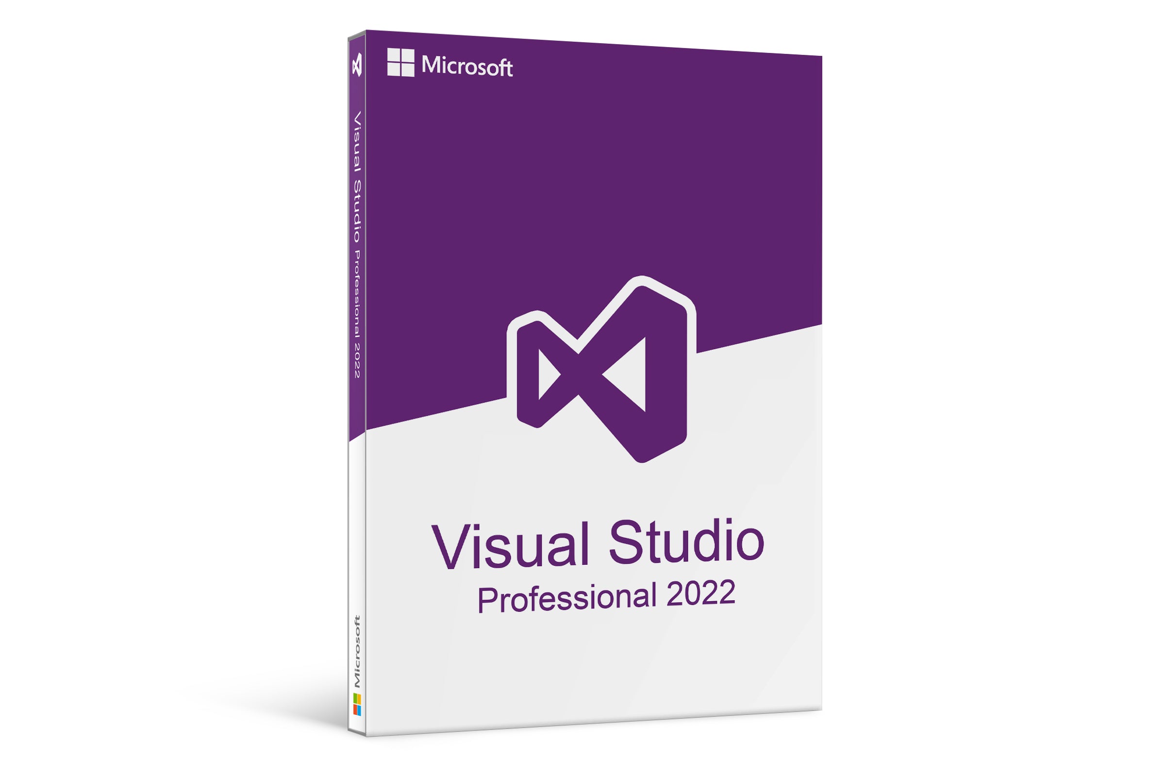 Visual Studio 2022 Professional
